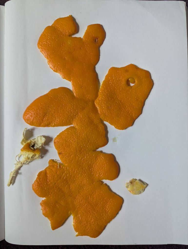 pxl_20260208_2250510223638751388862300642