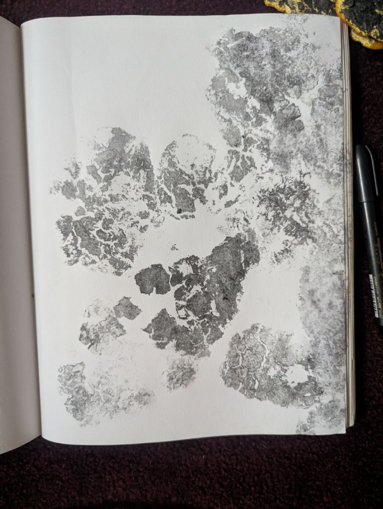 pxl_20260208_2325551625275580085817117107